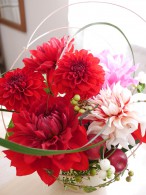 季節の花コース