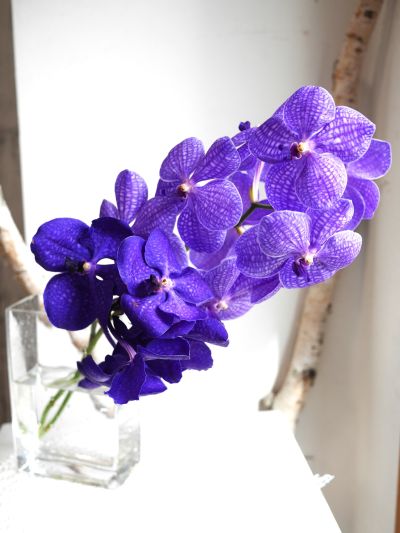 フラワーアレンジメント教室