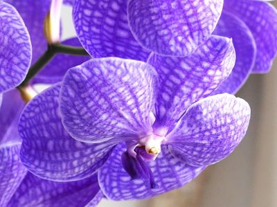 フラワーアレンジメント教室